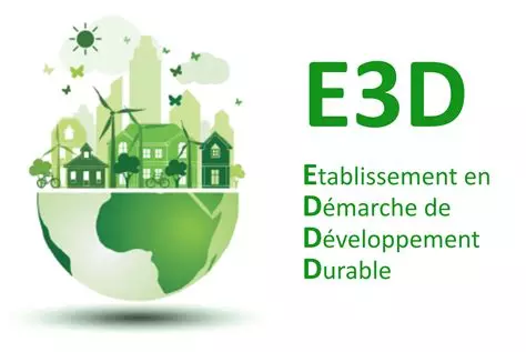 E3D.webp